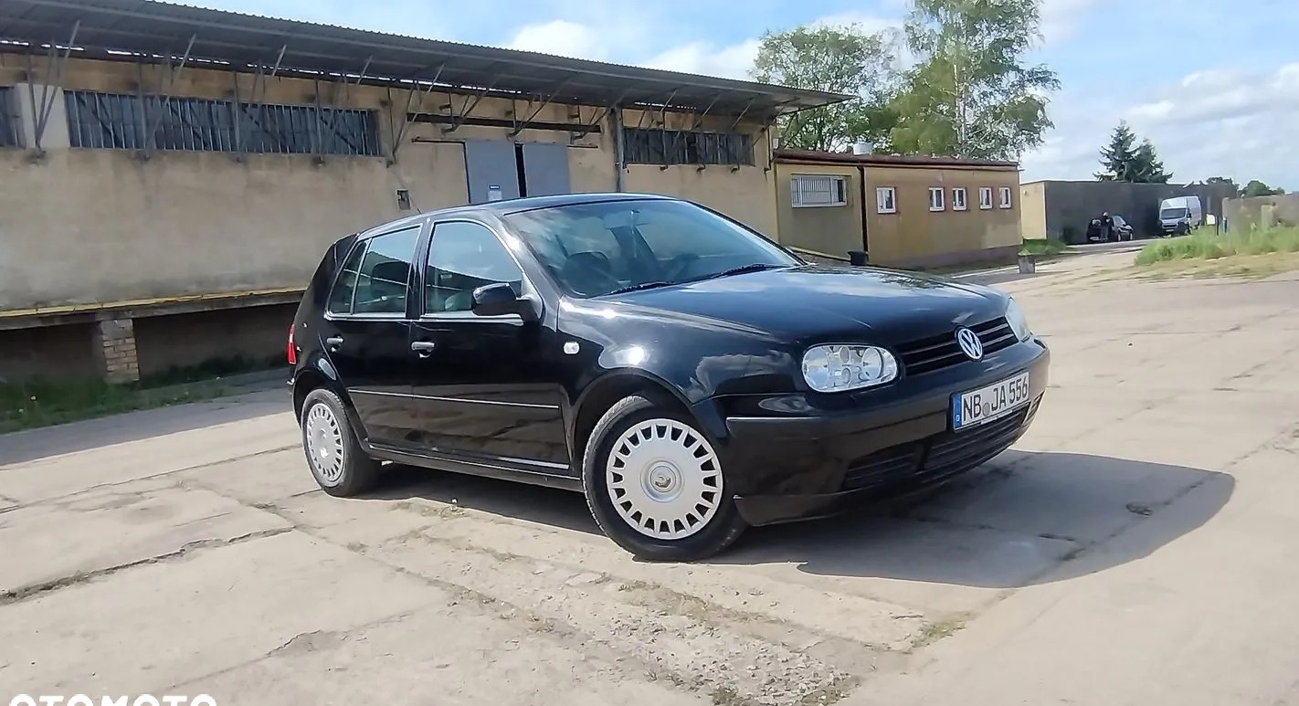 Volkswagen Golf cena 7900 przebieg: 159646, rok produkcji 2002 z Piwniczna-Zdrój małe 529